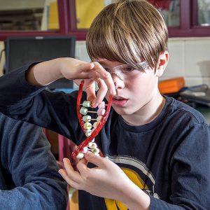 Young scientist building a DNA strand out of candy
